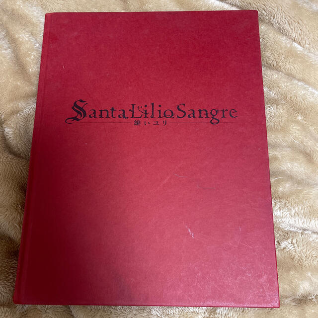 小島文美 画集 Santa Lilio Sangre 緋いユリ 贅沢屋の solidarite