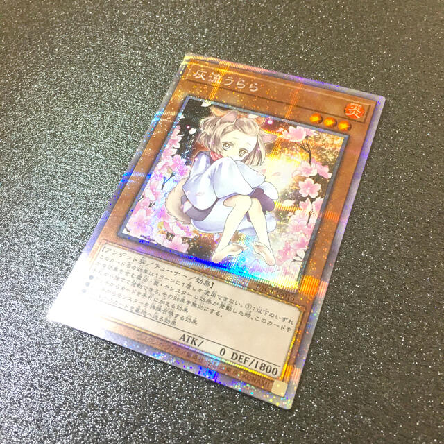 遊戯王 - 完美品 遊戯王 灰流うらら/はるうらら プリズマティック ...