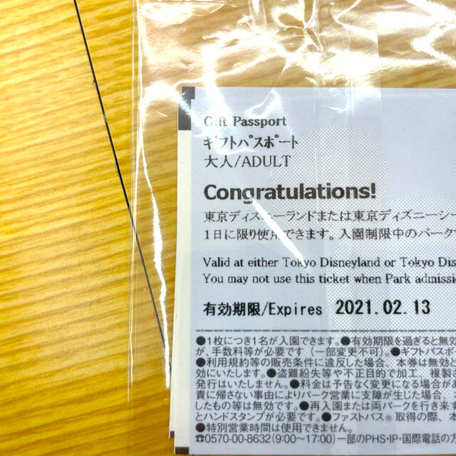 日本限定 ディズニーチケット 大人 2枚 ギフトパスポート メール便 遊園地 テーマパーク Rustavi Gov Ge