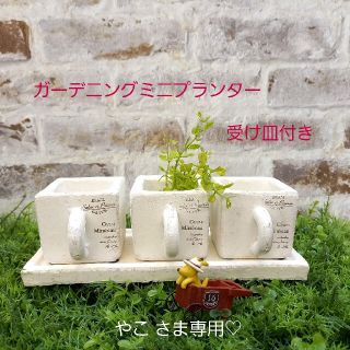 おまとめ専用ページ　ガーデニング　植木鉢　プランター　3個セット(プランター)