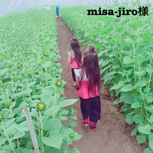 misa-jiro様8/4 キッズ/ベビー/マタニティのキッズ服女の子用(90cm~)(Tシャツ/カットソー)の商品写真