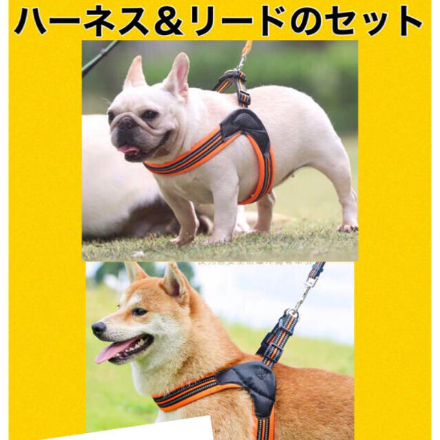 【２点セット】Ｍ　愛犬のストレス解消中型犬用高級ハーネス&リード胸囲:55-60 その他のペット用品(犬)の商品写真