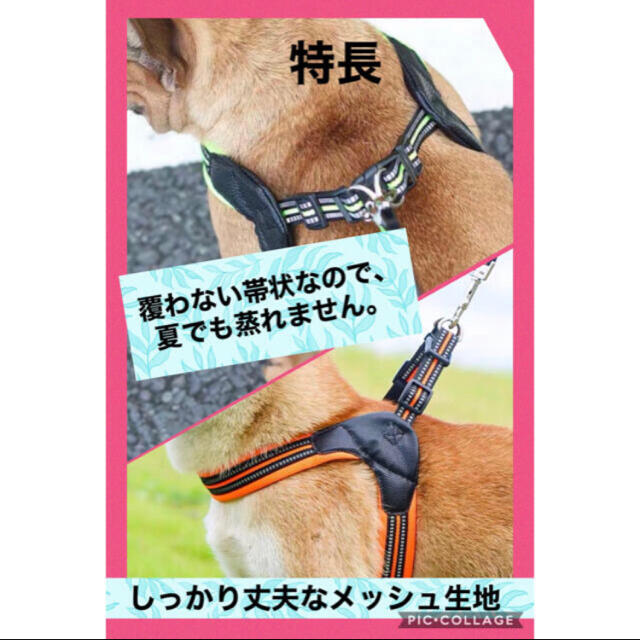 【２点セット】Ｍ　愛犬のストレス解消中型犬用高級ハーネス&リード胸囲:55-60 その他のペット用品(犬)の商品写真