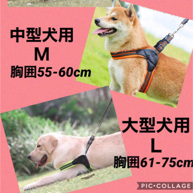 【２点セット】Ｍ　愛犬のストレス解消中型犬用高級ハーネス&リード胸囲:55-60 その他のペット用品(犬)の商品写真