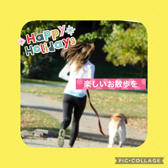 【２点セット】Ｍ　愛犬のストレス解消中型犬用高級ハーネス&リード胸囲:55-60 その他のペット用品(犬)の商品写真