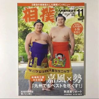 相撲 平成27年 11月号(趣味/スポーツ)