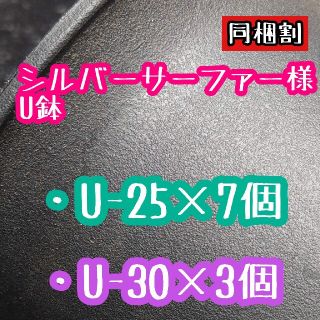 シルバーサーファー様 U鉢(その他)