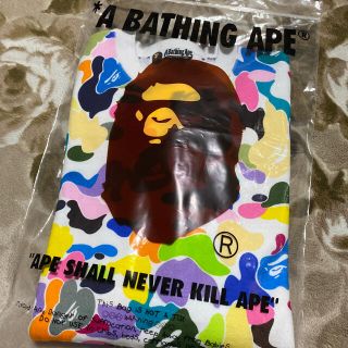 アベイシングエイプ(A BATHING APE)のAPE BAPE KAWS STA MULTI CAMO パーカー　スウェット(スウェット)