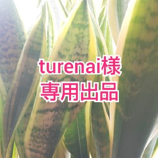 turenai様  専用出品です(その他)