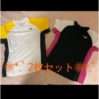 ミズノ(MIZUNO)のMIZUNO レディース Tシャツ ☆2枚セット☆(Tシャツ(半袖/袖なし))