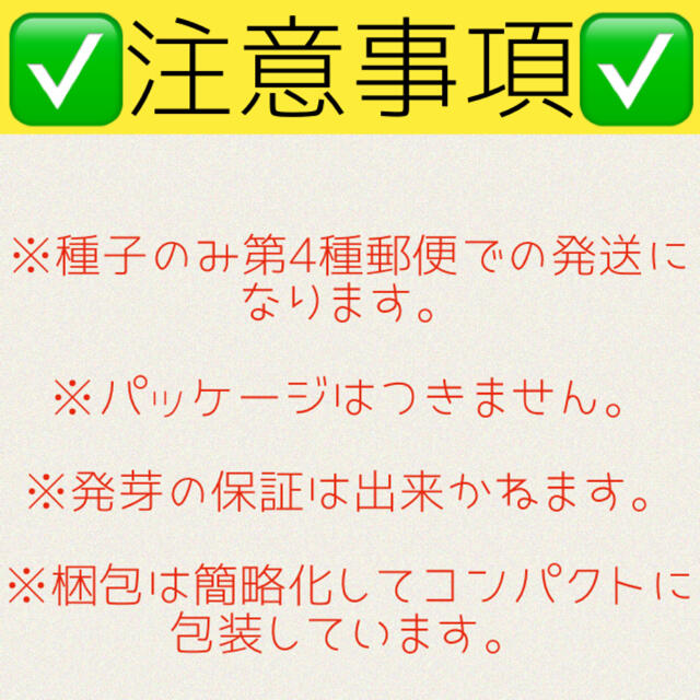 5ml 特別セール☆ベビーリーフミックスの種 野菜 種 小松菜 水菜 レタスなど 食品/飲料/酒の食品(野菜)の商品写真