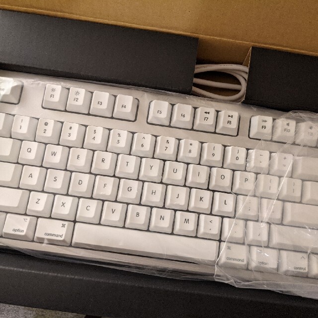 REALFORCE TKL Mac R2TL-USVM-WH USキー ホワイト