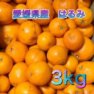 2901 愛媛県産 訳あり はるみ 3kg 柑橘 みかん(フルーツ)
