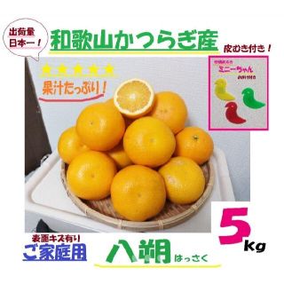 【皮むき付き】M〜2Lサイズ　和歌山県かつらぎ産　完熟はっさく　ご家庭用　5キロ(フルーツ)