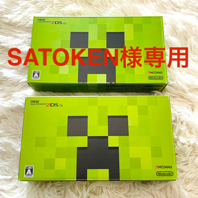 2DS LL マインクラフト 2台 セット - www.sorbillomenu.com