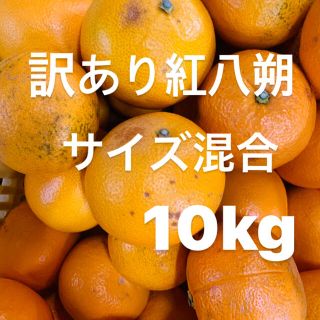 訳あり紅八朔　サイズ混合　10kg入り‼️(フルーツ)