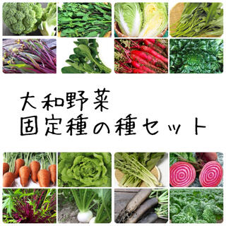 ★大和野菜★固定種の種セット(野菜)