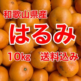 はるみオレンジ　10㎏箱に満杯　送料込み(フルーツ)