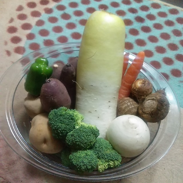 わんちゃん様専用野菜詰め合わせセット 食品/飲料/酒の食品(野菜)の商品写真