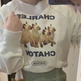 エディットフォールル(EDIT.FOR LULU)のシャルルシャトン　big arm sweatshirts(トレーナー/スウェット)