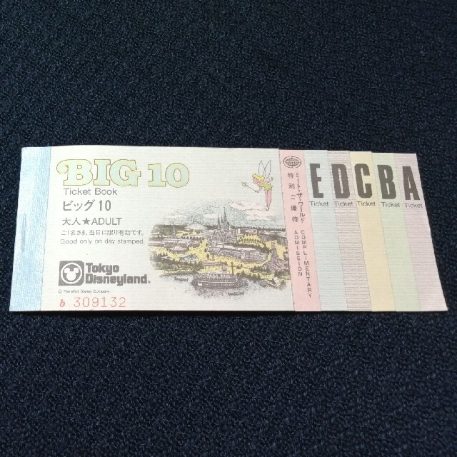 Disney(ディズニー)の東京ディズニーランド BIG10 チケット チケットの施設利用券(遊園地/テーマパーク)の商品写真