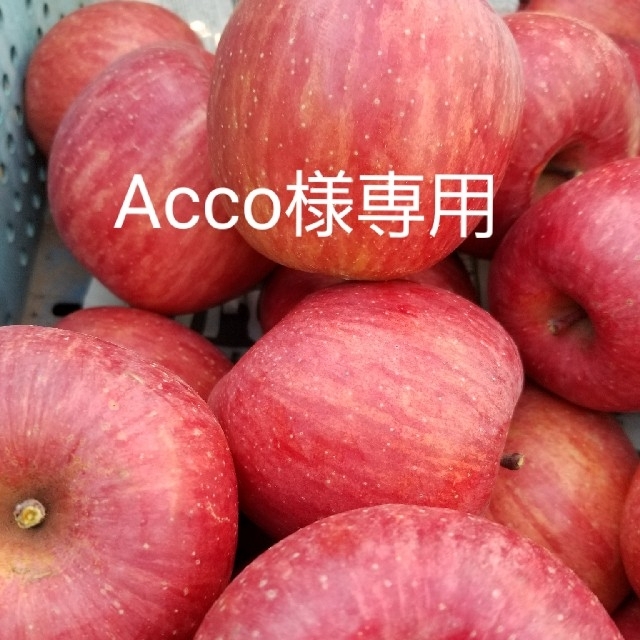 Acco様専用 小玉サンふじ5㎏ 食品/飲料/酒の食品(フルーツ)の商品写真