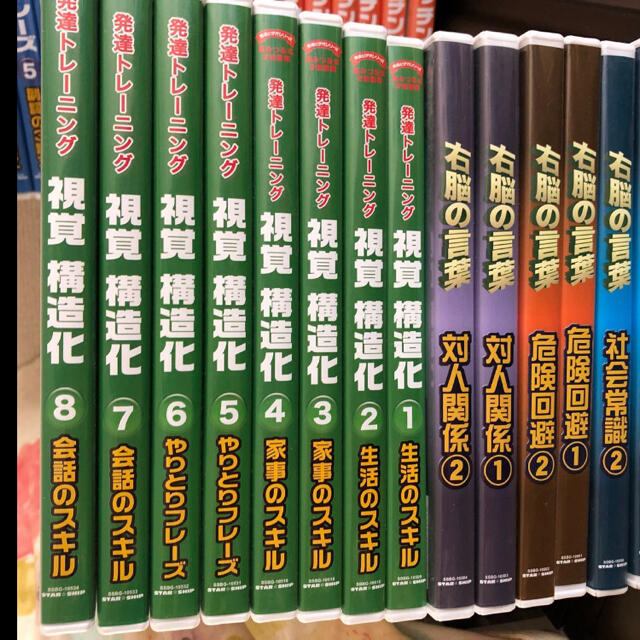 星みつる式家庭療育プログラム発達トレーニングDVD エンタメ/ホビーのDVD/ブルーレイ(キッズ/ファミリー)の商品写真