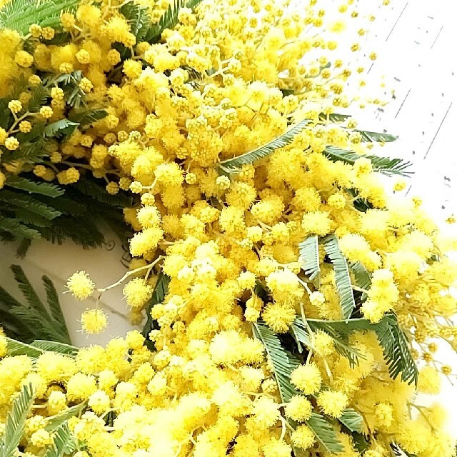 ミモザの春が待ち遠しいリース ハンドメイドのフラワー/ガーデン(リース)の商品写真