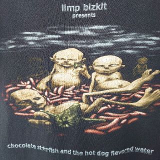 リンプ・ビズキット 2000年ツアーTシャツ M USA製 他1点 合計2点