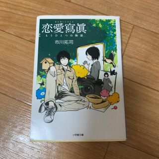 いち様専用　２冊　恋愛寫眞 もうひとつの物語(文学/小説)