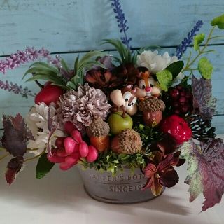 ペペロミア オブツシフォリア 観葉植物なら風水ではペペロミアで幸運効果 の通販 ラクマ ペペロミア オブツシフォリア 観葉植物なら風水ではペペロミアで幸運効果 の通販 ラクマ