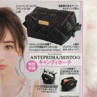 アンテプリマ(ANTEPRIMA)の【未使用】ANTEPRIMA MISTO アンテプリマミスト　キャンディポーチ(ポーチ)