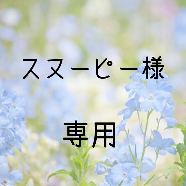 スヌーピー  お米　令和２年　愛媛県産キヌヒカリ　玄米　20㎏