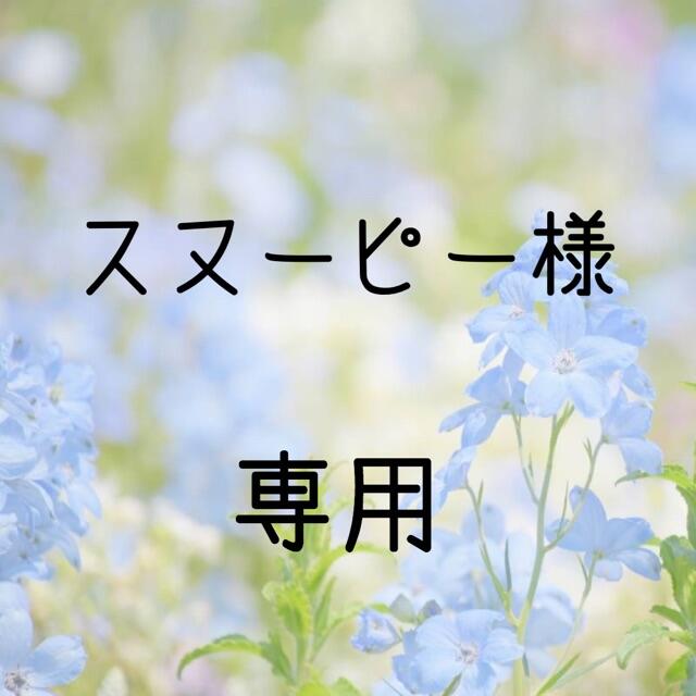 スヌーピー様専用  お米　令和２年　愛媛県産キヌヒカリ　玄米　20㎏ 食品/飲料/酒の食品(米/穀物)の商品写真