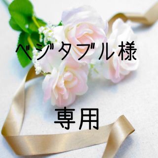 ベジタブル様専用 お米　令和2年　愛媛県産コシヒカリ　白米　30㎏(米/穀物)