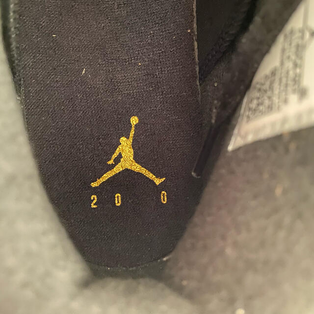 NIKE AIR JORDAN 6 RETRO SE DMP 新品未使用30cm 3