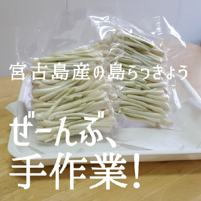 宮古島産　島らっきょう　１キロ 食品/飲料/酒の食品(野菜)の商品写真