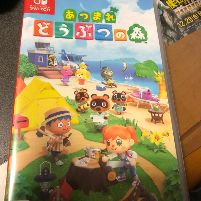 あつまれ どうぶつの森 Switch