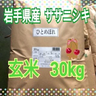 hikari☆mama様専用 玄米 ササニシキ 30kg（小分けなし）金札米 (米/穀物)