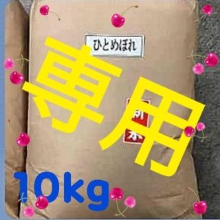 あおぞら様専用 お米 10kg 5kg×2袋 R2年度岩手県産一等(米/穀物)