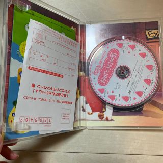 NHKおかあさんといっしょ最新ソングブック　「おめでとうを100回」 DVD