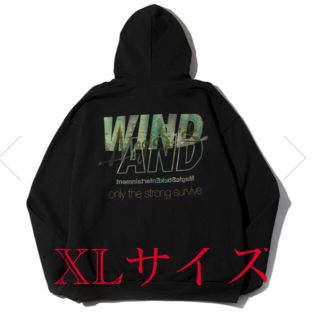 magic stick-wind and sea logo hoodie(パーカー)