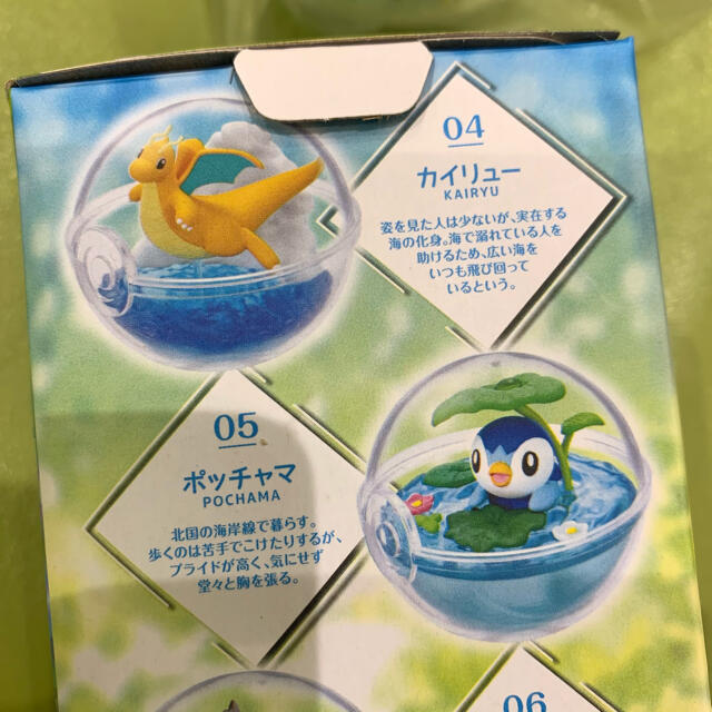 ポケモン テラリウムコレクション9 ポッチャマの通販 By Shiso Parsley ポケモンならラクマ ポケモン テラリウムコレクション9 ポッチャマの通販 By Shiso Parsley ポケモンならラクマ