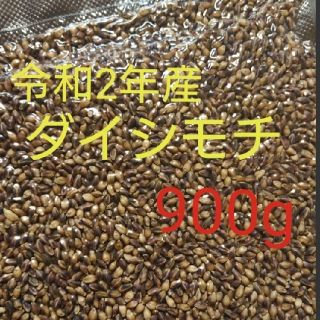 讃岐もち麦 ダイシモチ 玄麦(米/穀物)