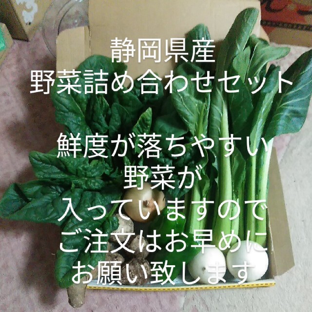 静岡県産野菜詰め合わせセット 食品/飲料/酒の食品(野菜)の商品写真