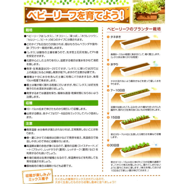 【簡単栽培‼️】ベビーリーフ菜っぱミックスの種 5ml 野菜 家庭菜園 タネ 種 食品/飲料/酒の食品(野菜)の商品写真