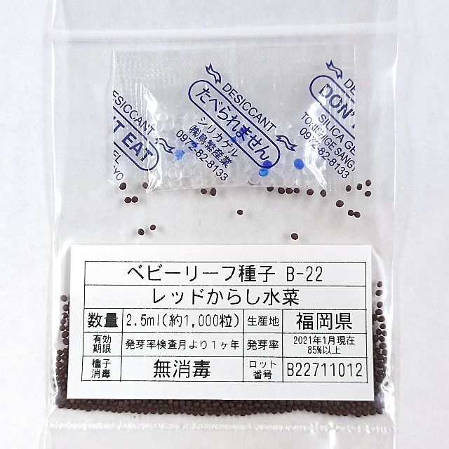 ベビーリーフ種子 B-22 レッドからし水菜 2.5ml 約1000粒 x 2袋 食品/飲料/酒の食品(野菜)の商品写真