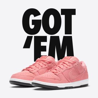 ナイキ(NIKE)のNIKE SB DUNK LOW PRO(スニーカー)