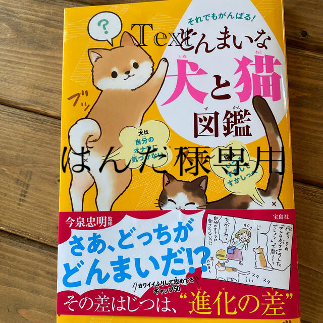 それでもがんばる!どんまいな犬と猫図鑑の通販 by ゆきんこや|ラクマ