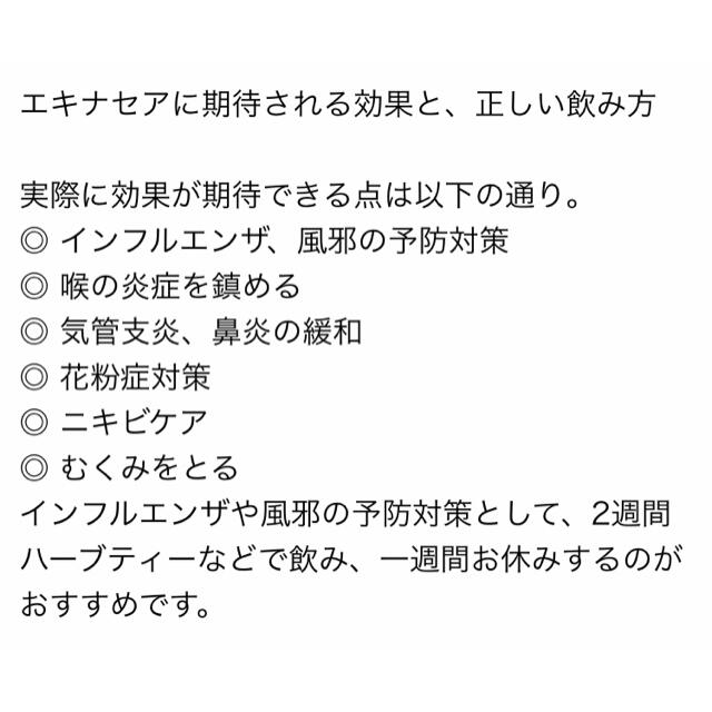 生活の木(セイカツノキ)の生活の木　おいしいハーブティー  エキナセアベア4袋入 食品/飲料/酒の飲料(茶)の商品写真